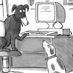 steiner-dog-cartoon